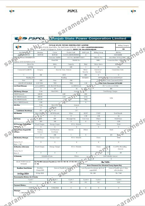 INDIA PSPCL business utility bill Word and PDF template-các trang đã xóa
